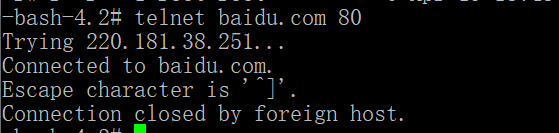 Network Connectivity Test