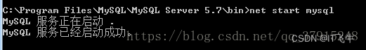 Start MySQL service