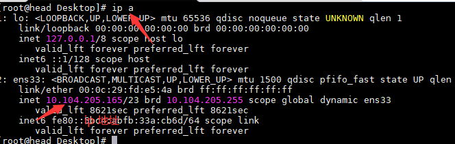ip address output