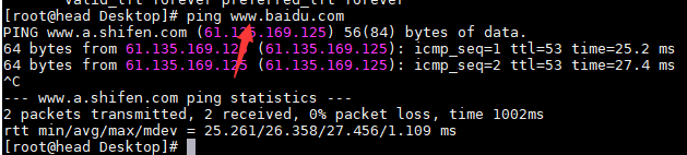 ping output