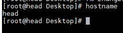 hostname output