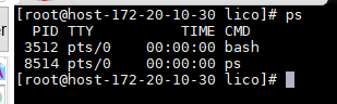 ps output