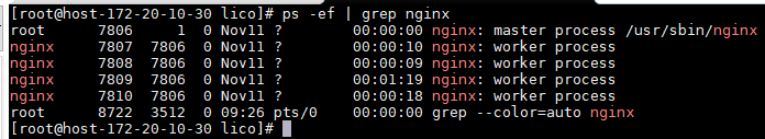 ps -ef output