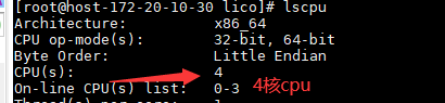 lscpu output