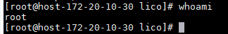 whoami output
