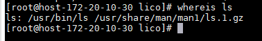 whereis output