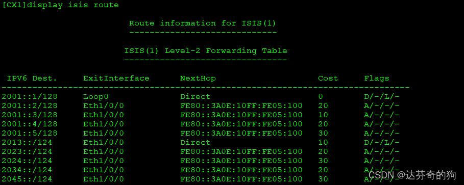 ISIS Routing Table