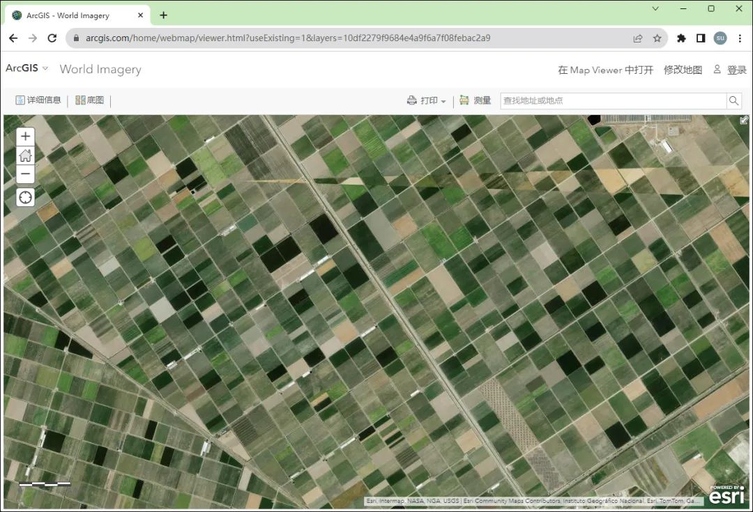 Esri World Imagery